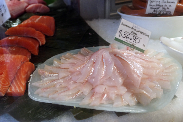 fish 5.jpg